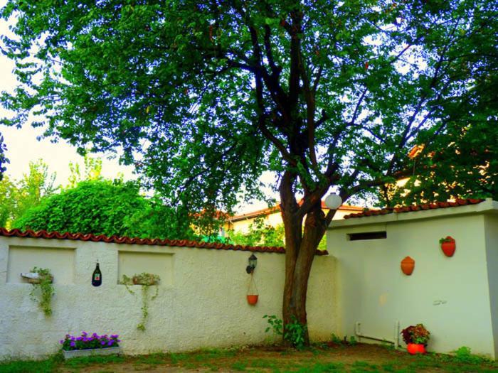 Egemen Hotel Sapanca Exterior photo